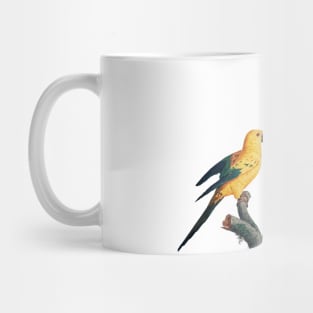 wild birds Mug